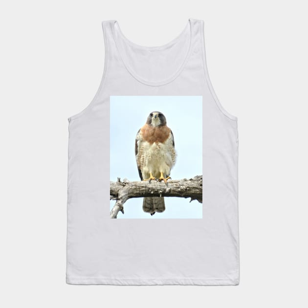 Wild Red Tail Hawk Tank Top by Scubagirlamy